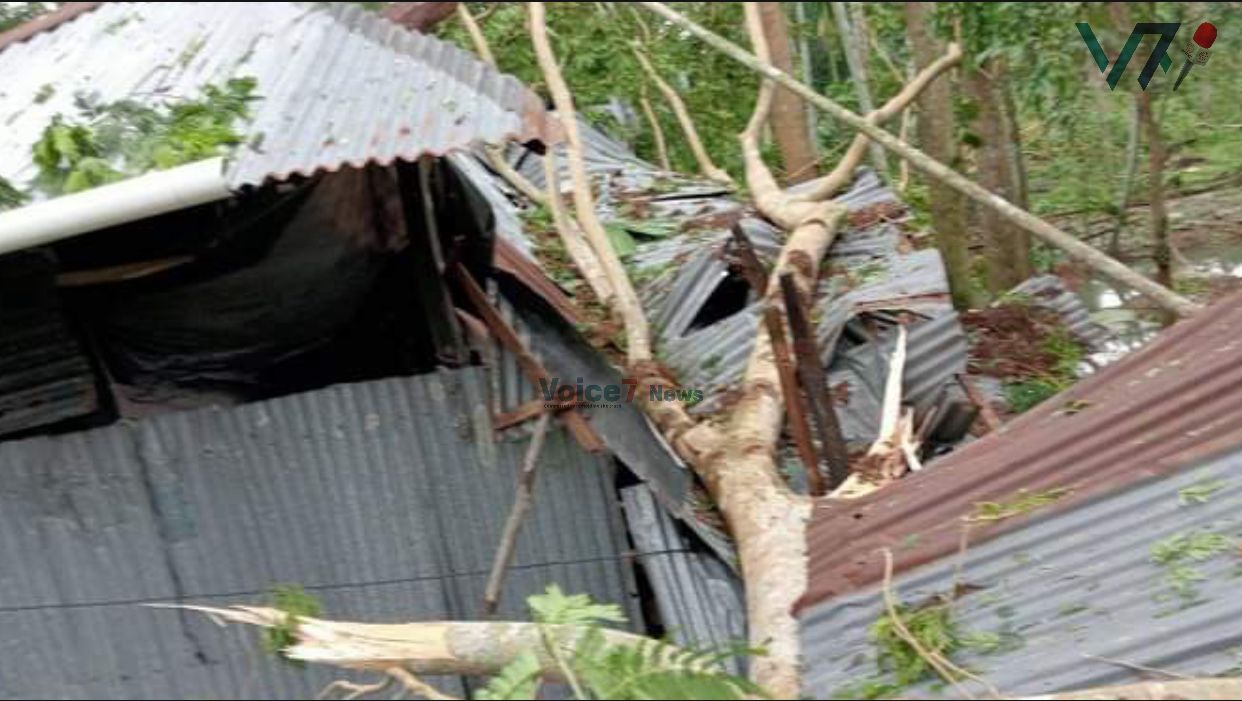 Cyclone Remal Aftermath: Pirojpur District Reels from Damage. V7N